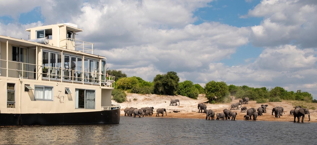 Ein Schiff steht an einem Ufer, auf dem Elefanten stehen. 