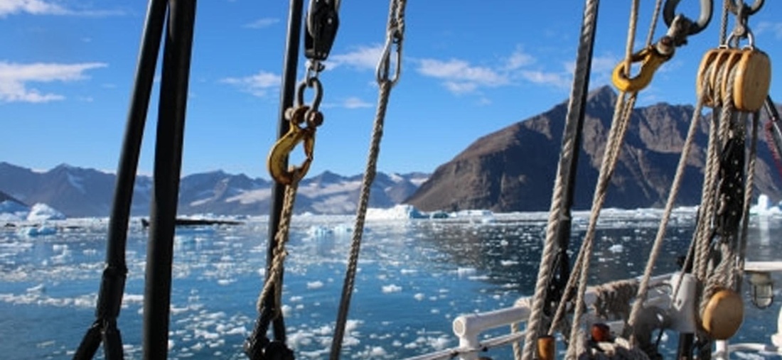 Eisblöcke die auf dem Wasser schwimmen.