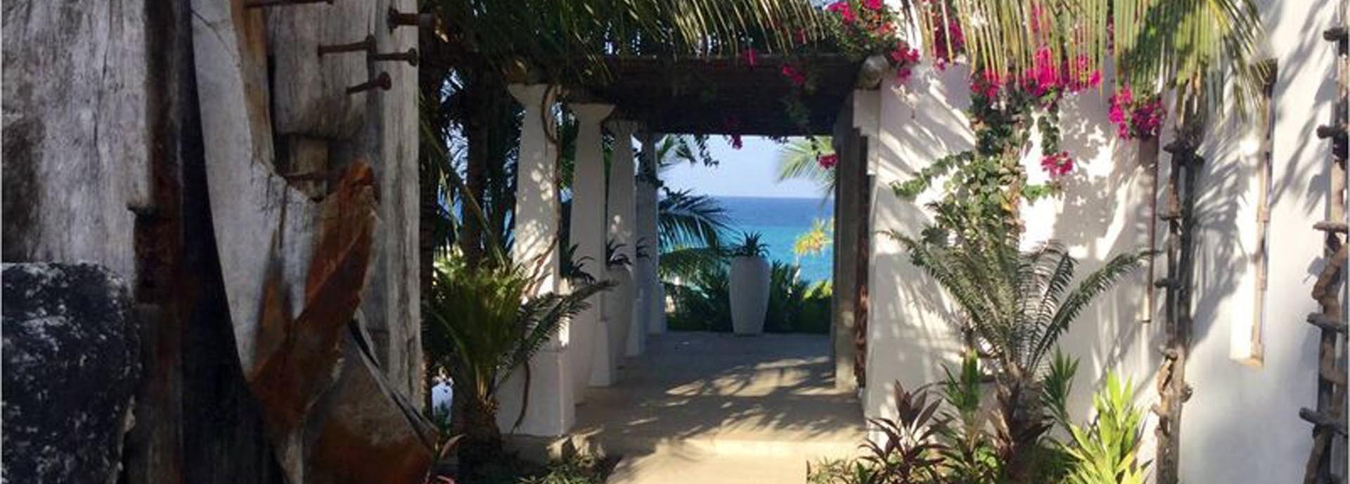 Eingang eines Hauses umgeben von Palmen.