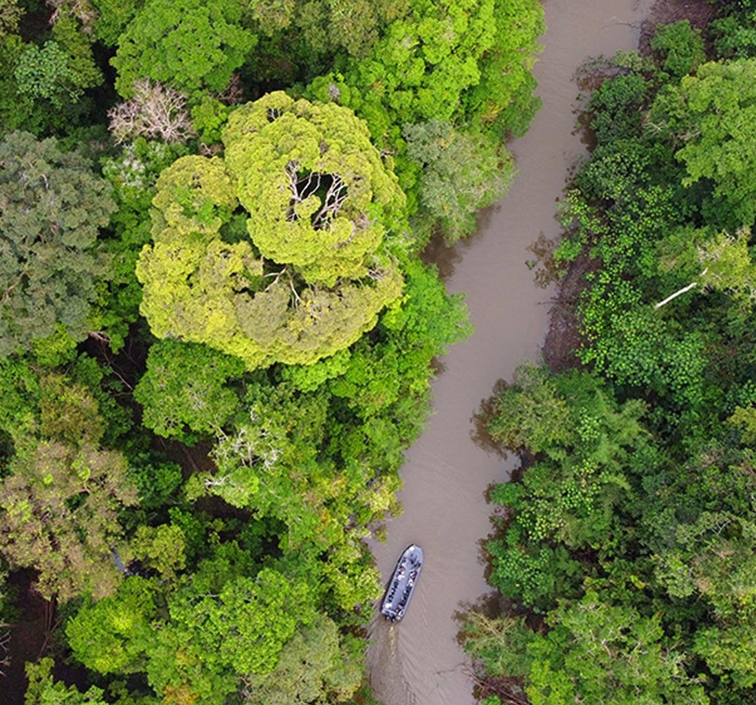 Ein Boot fährt durch einen Fluss.