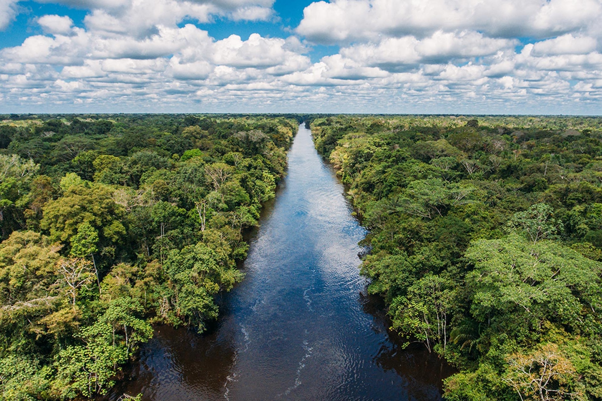 Blick auf einen langen Fluss im Amazonas.