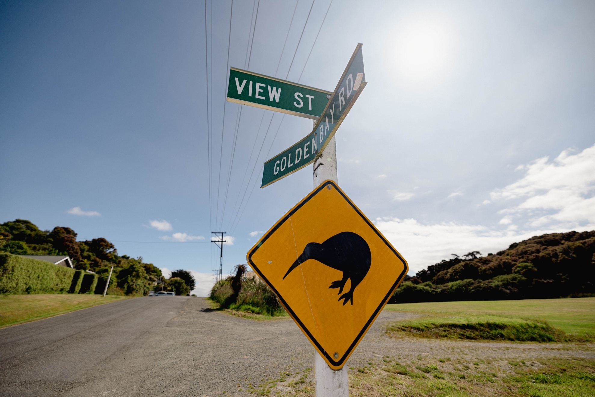 Schild Kiwi Crossing