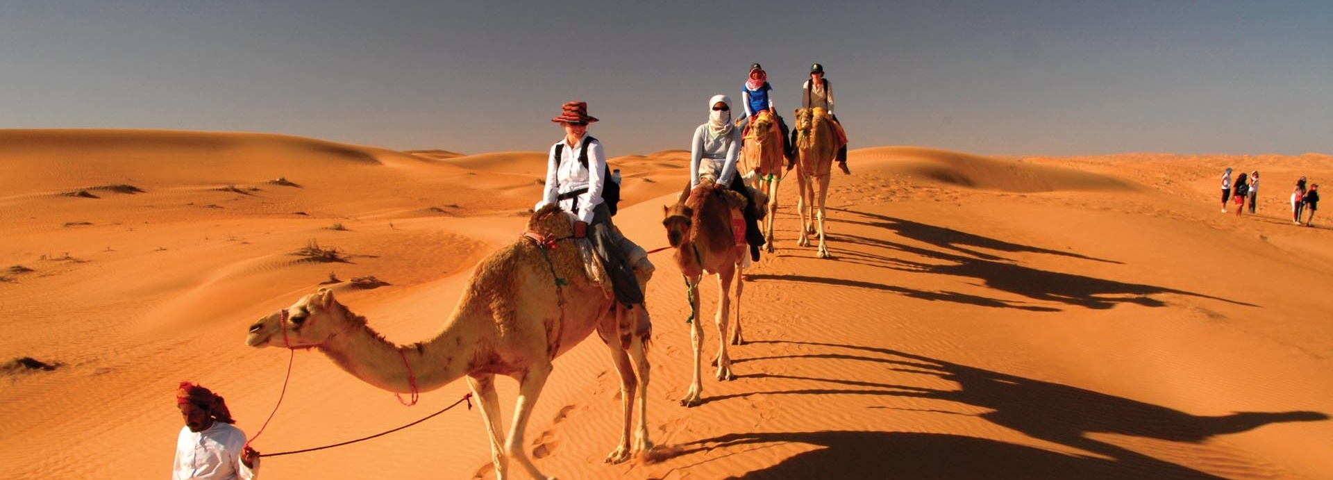 Mehrere Personen bei einer Wüstentour auf Kamelen.