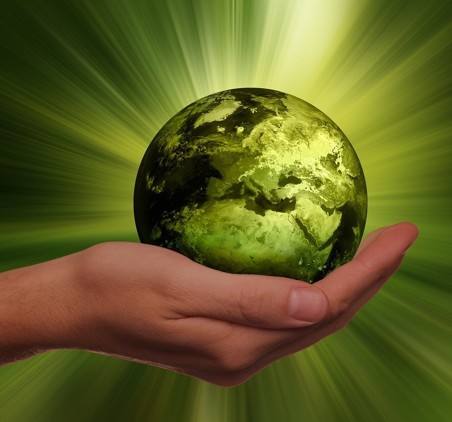 Eine Hand hält eine grüne Erde, als Symbol für Nachhaltigkeit.