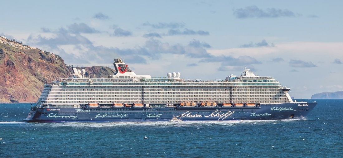 Blick auf ein großes Kreuzfahrtschiff.