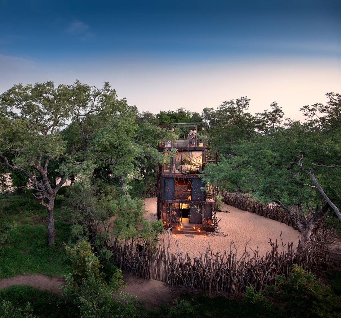 Modernes Baumhaus umgeben von Bäumen.