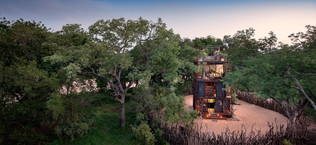 Modernes Baumhaus umgeben von Bäumen.