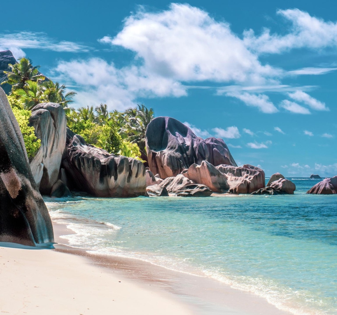 Traumhafter Strand mit Palmen.