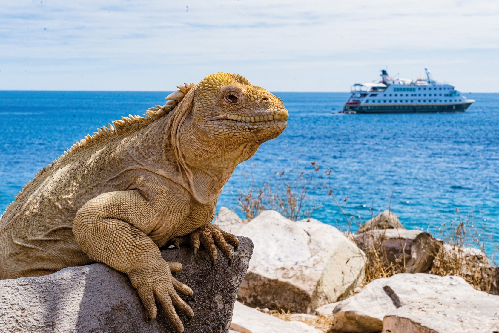 HX Expeditions auf Santa Fe Island Galapagos