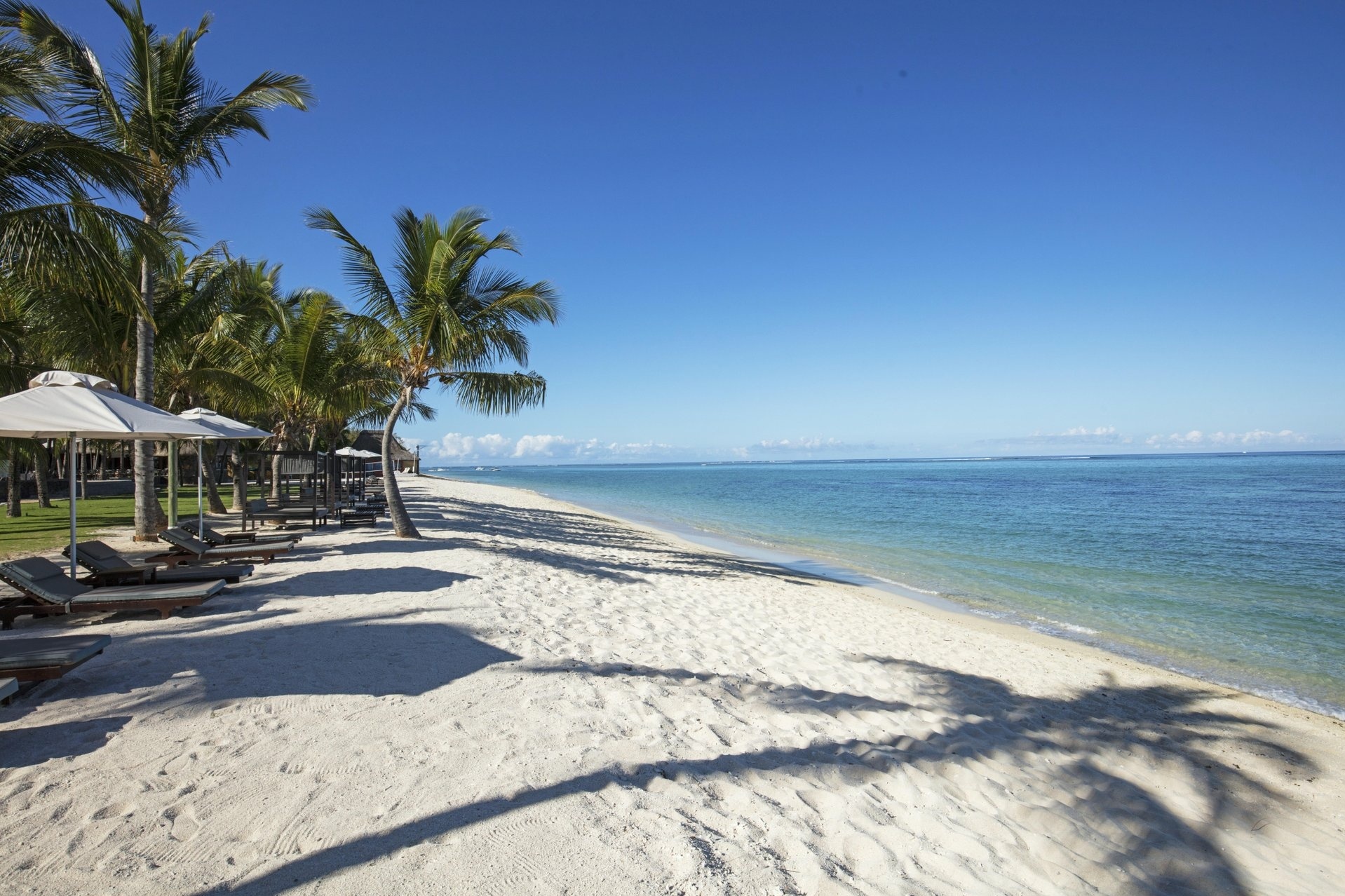 Liegen und Sonnenschirme unter Palmen am Strand