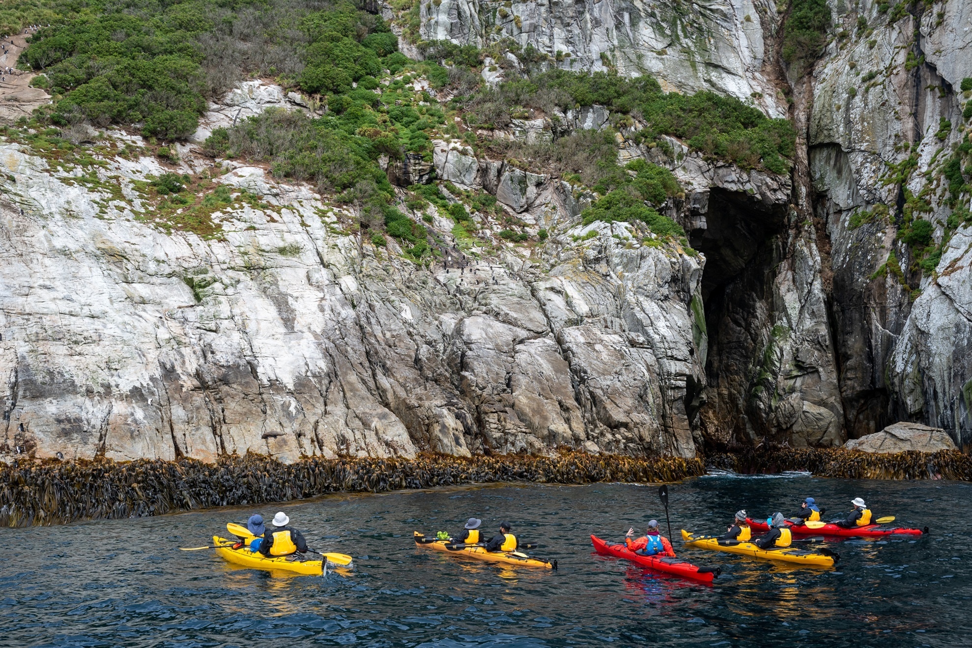 Kayakausflug während Kreuzfahrt mit Heritage Expeditions