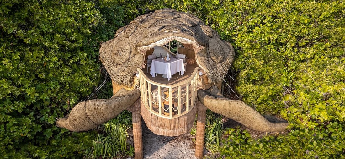 Ein Baumhaus in Form einer Schildkröte.