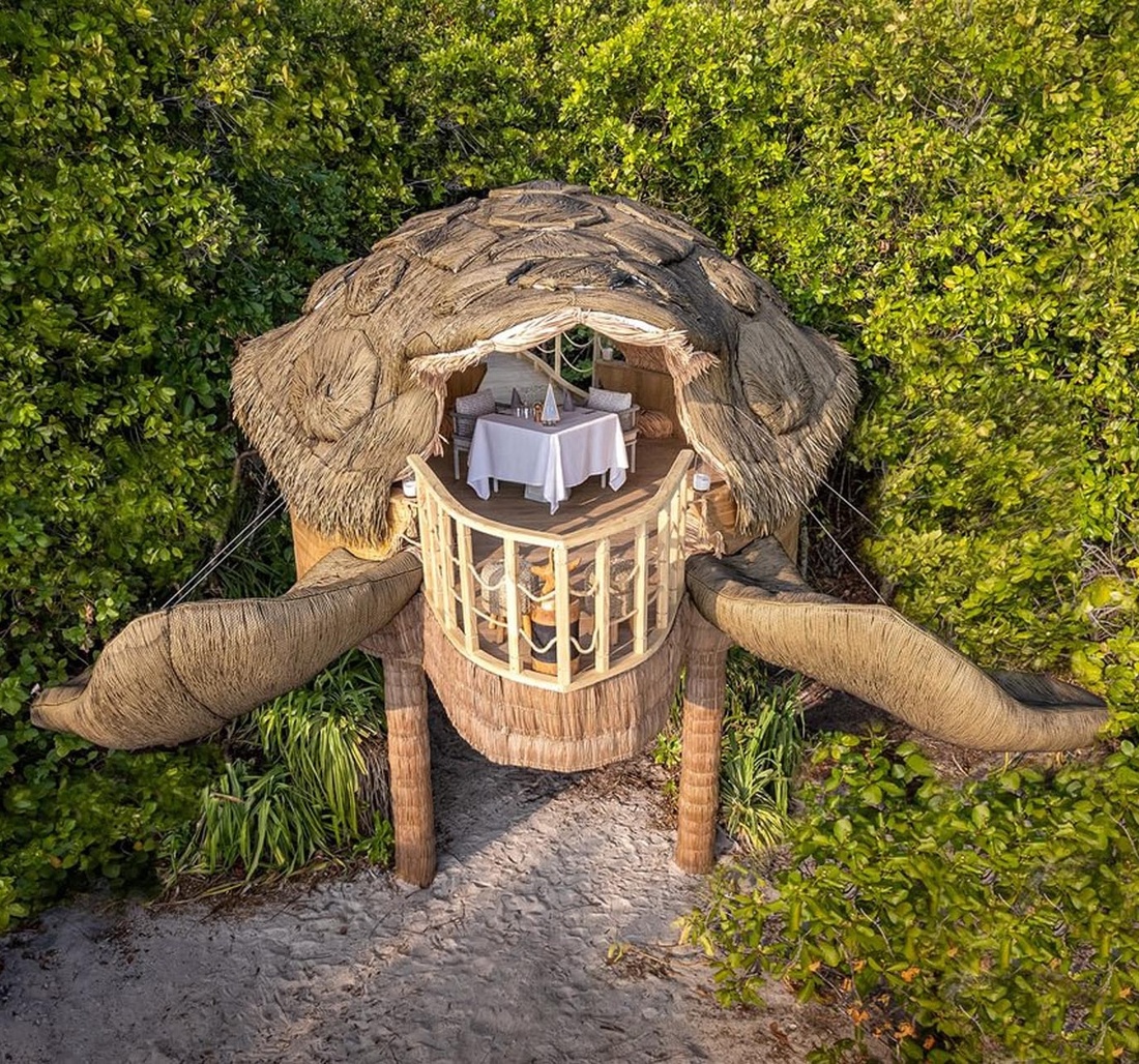 Ein Baumhaus in Form einer Schildkröte.