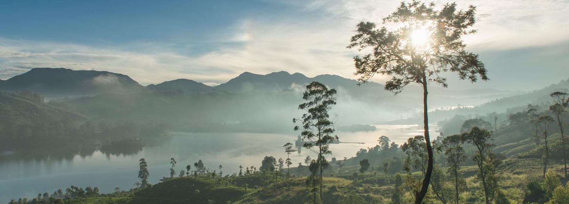 Blick auf eine grüne Natur vor einem See.