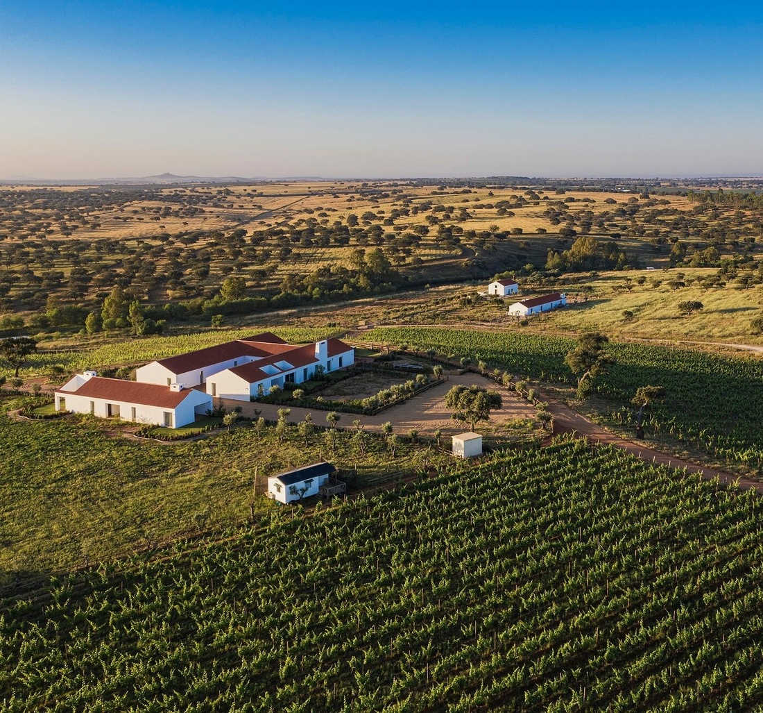 Luftaufnahme eines Weinguts.