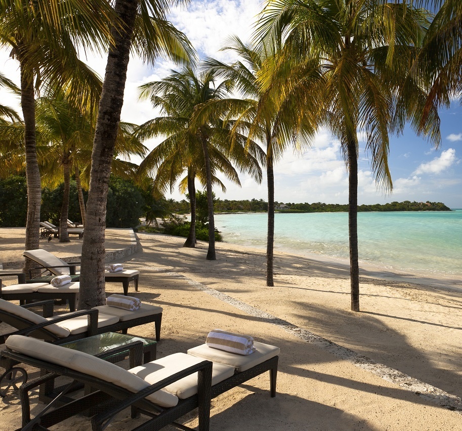 Palmen und Sonnenliegen am Strand.