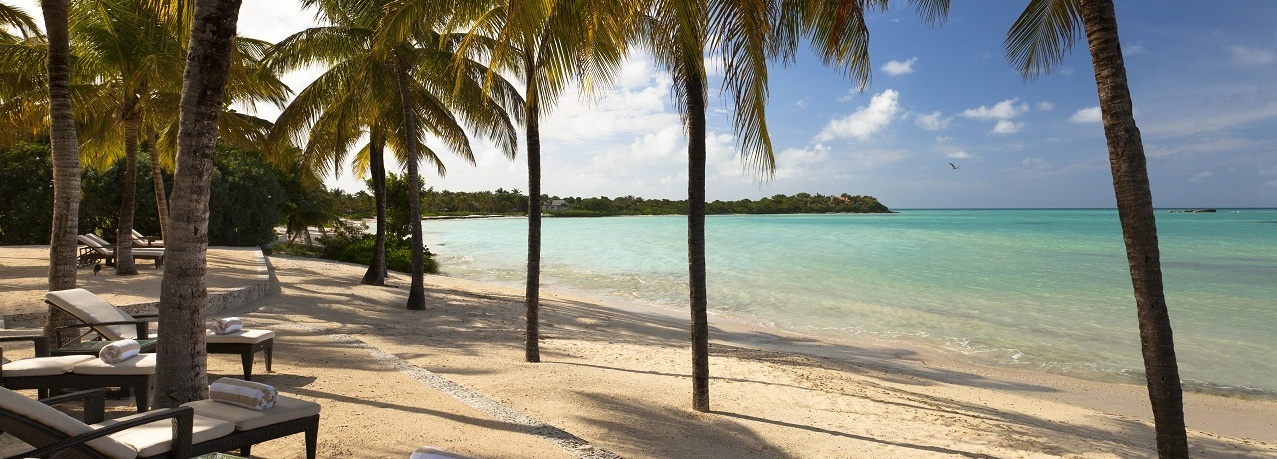 Palmen und Sonnenliegen am Strand.
