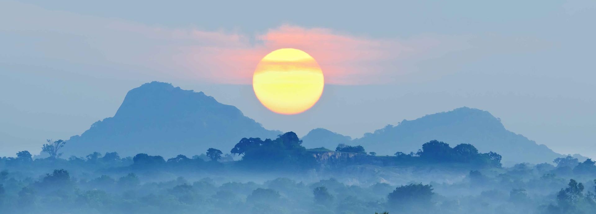 Sonnenaufgang über dem Regenwald in Sri Lanka.