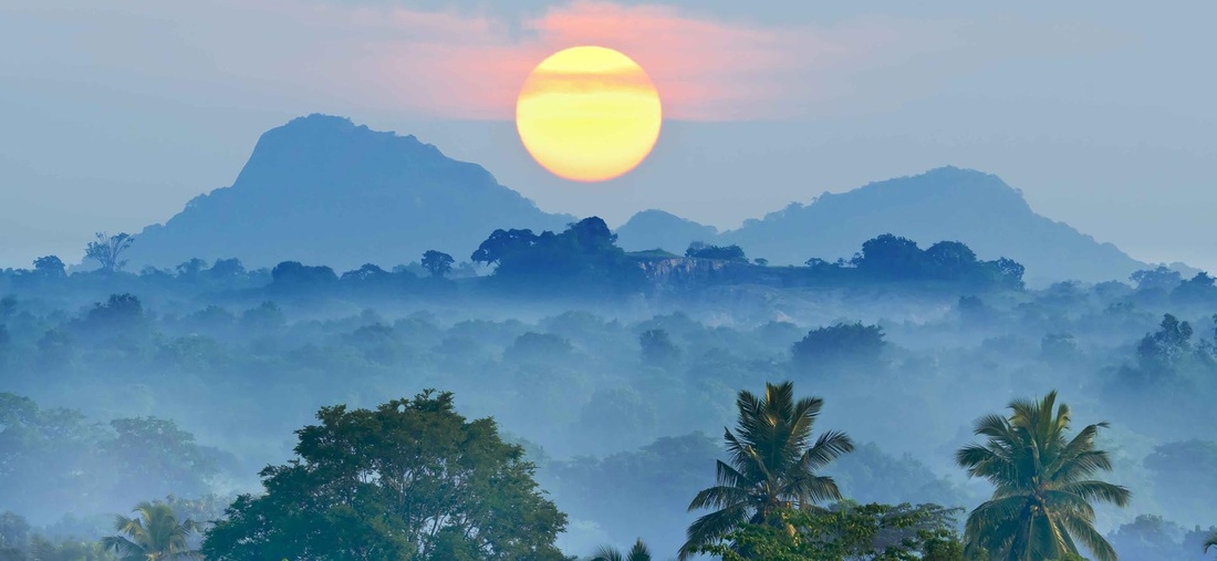 Sonnenaufgang über dem Regenwald in Sri Lanka.